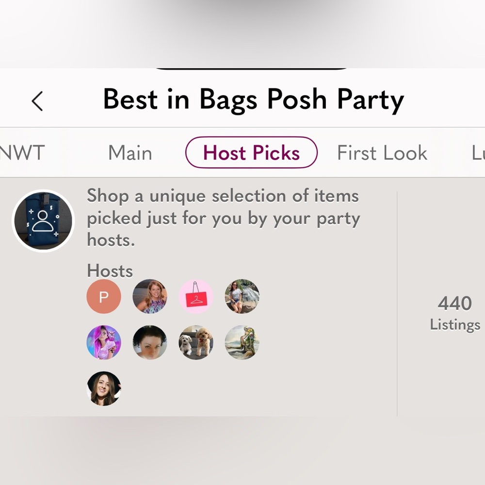 New Party See Listing. 1/01/26 Best in Bags 11/26/25! GREAT TEAMWORK! - Picture 2 of 16
